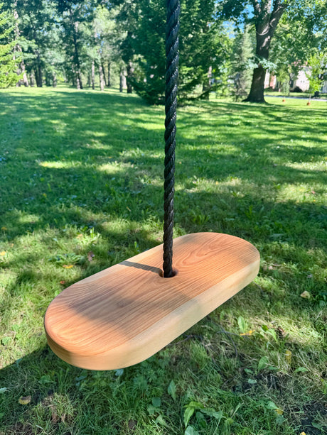 Oval Style Tree Swing