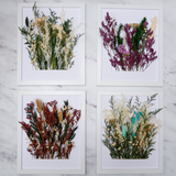 Dried Bouquet Kit
