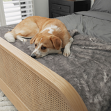 PupProtector™ Luxe Waterproof Bed Runner - Ultra Soft Chinchilla