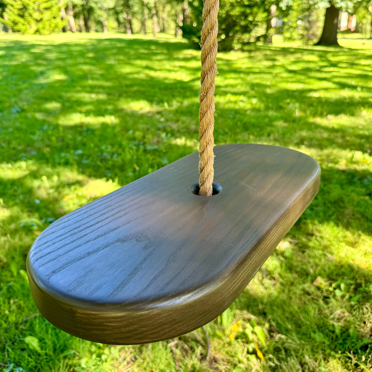Oval Style Tree Swing
