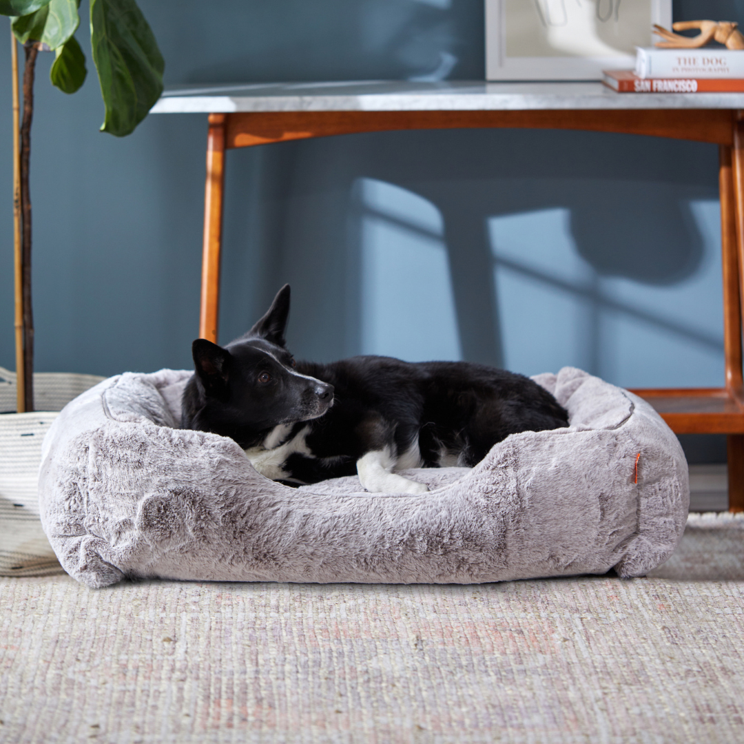 The Sammy Bolster Dog Bed