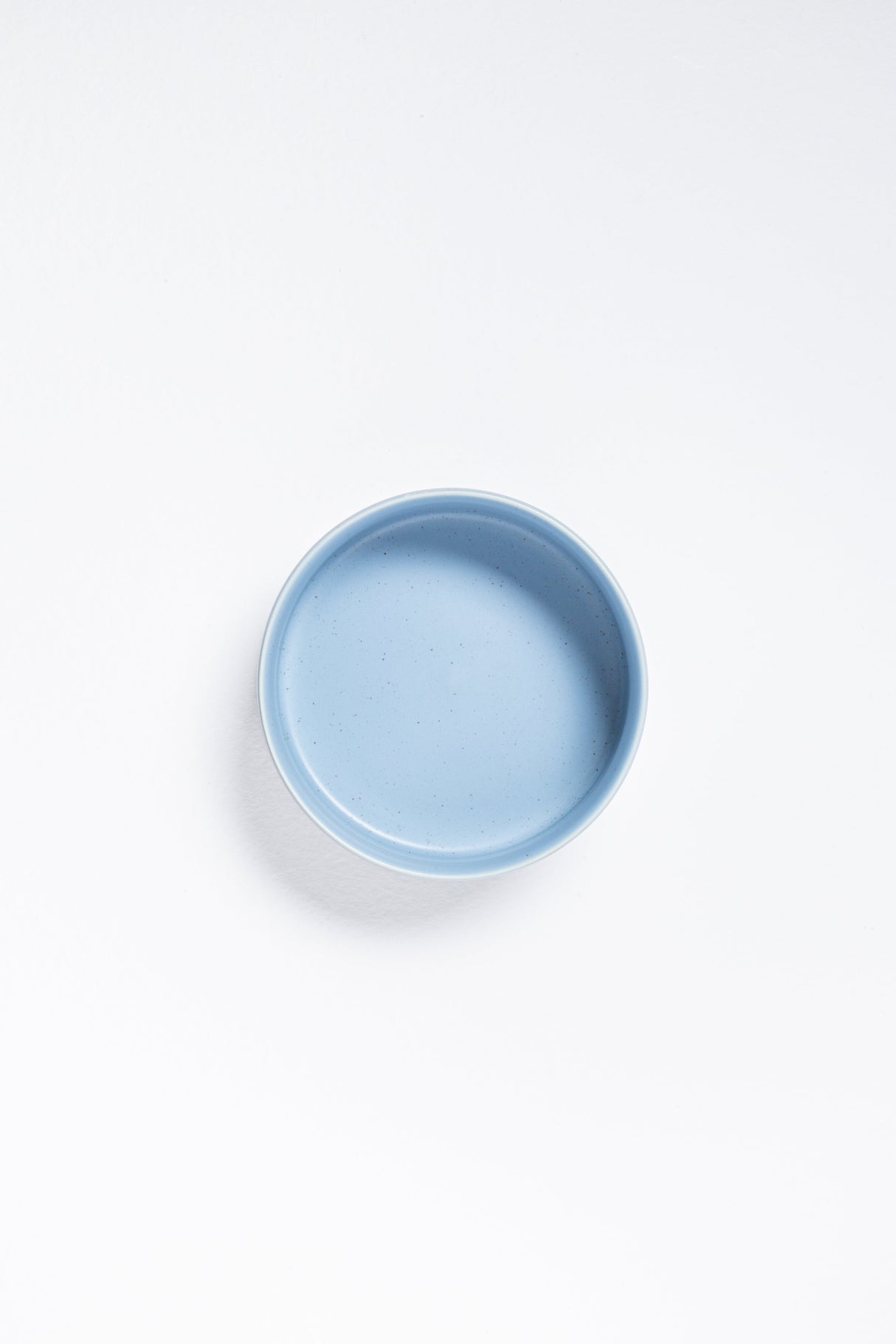 Set of 2 Blue Large Ceramic Pet Bowls
