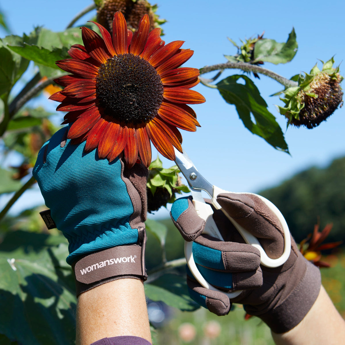 Digger Gardening Gloves