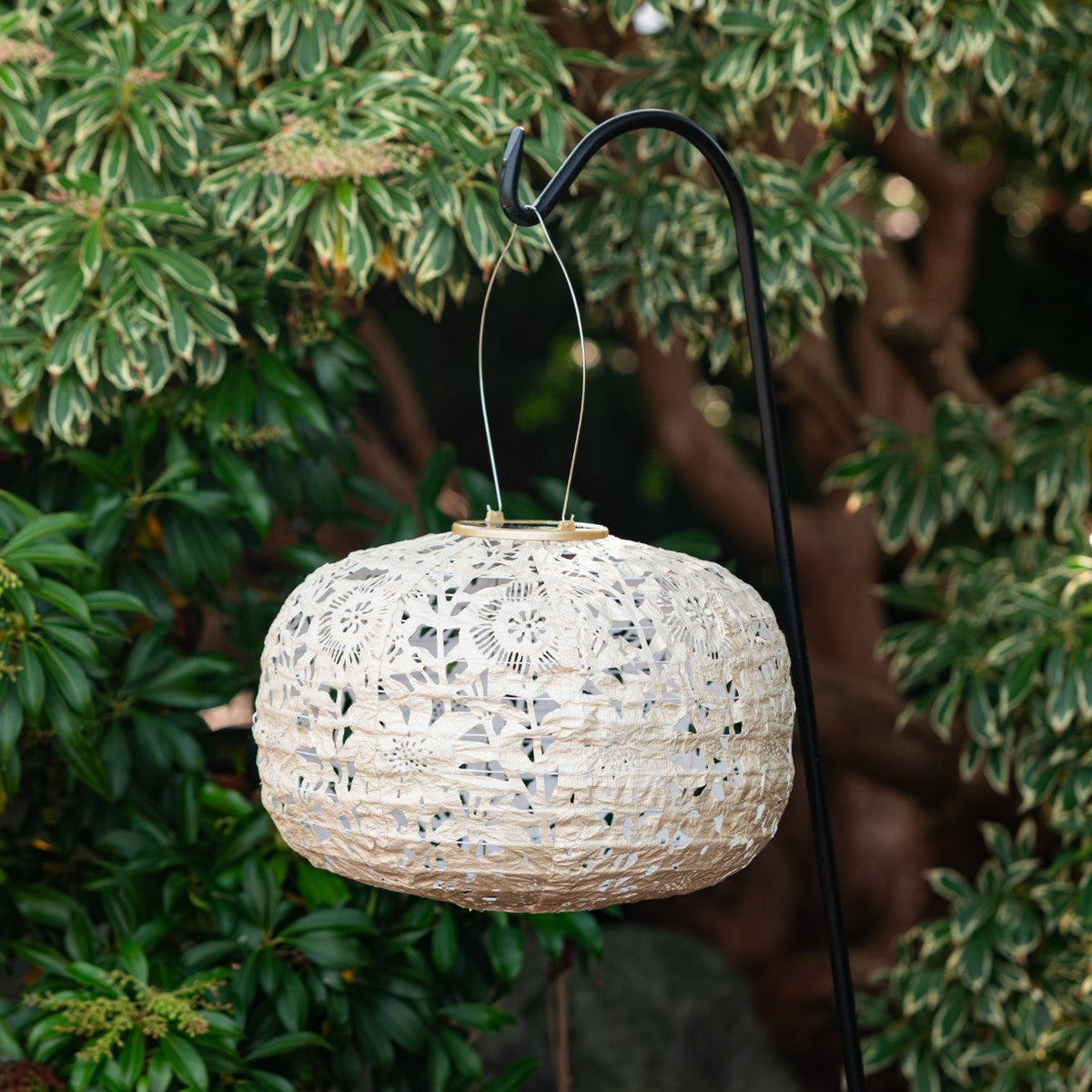 Soji Stella - Square - 11" Solar Lantern