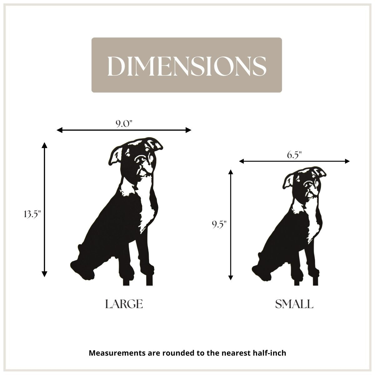 American Pit Bull Terrier