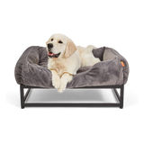 The FÜZI Dog Bed