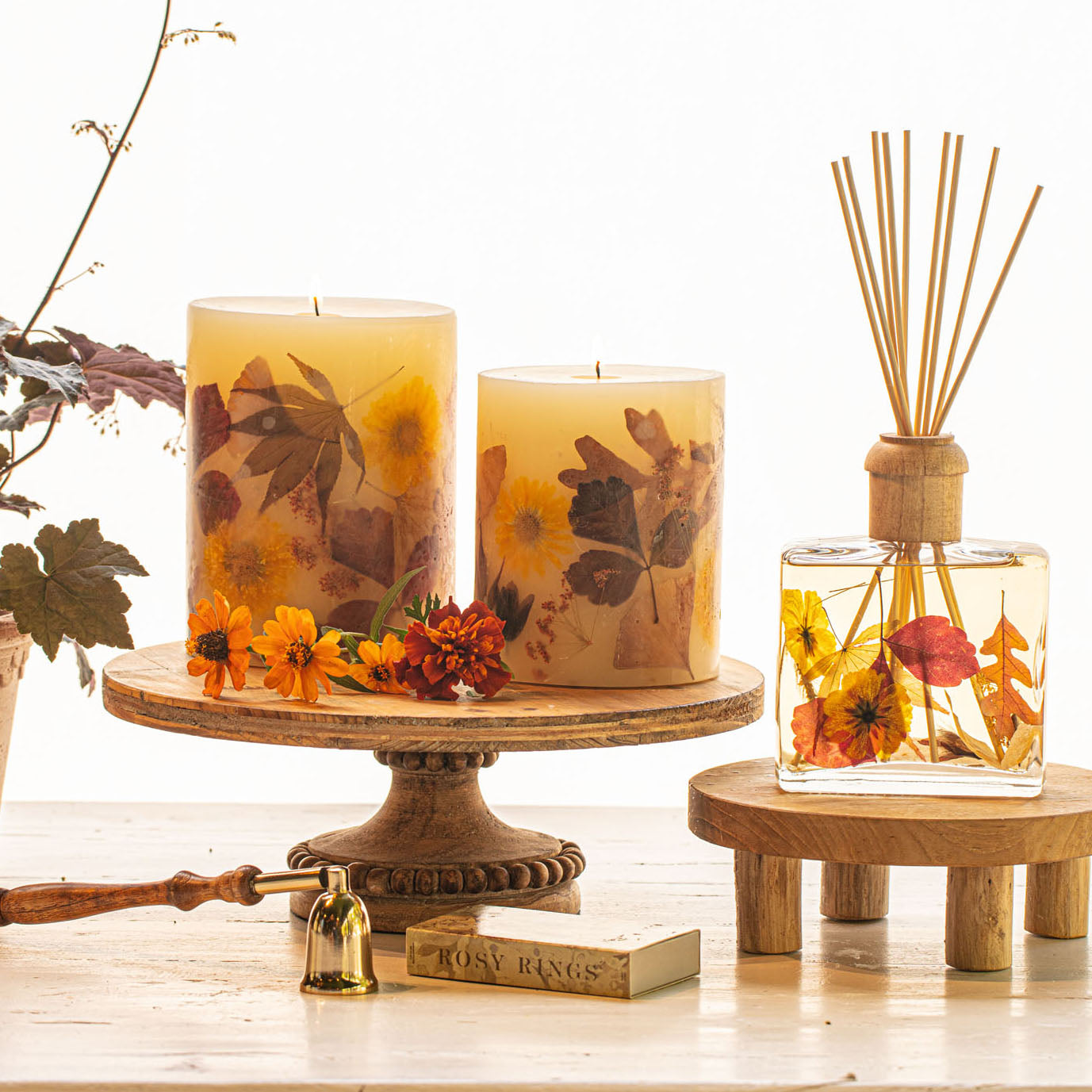 Rosy Rings Signature Botanical Reed Diffuser - Thumbnail 3