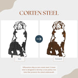 Bernese Mountain Dog