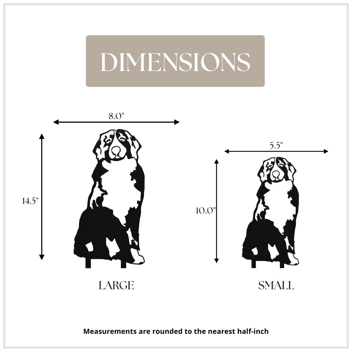 Bernese Mountain Dog