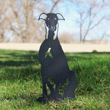 Greyhound Garden Stake