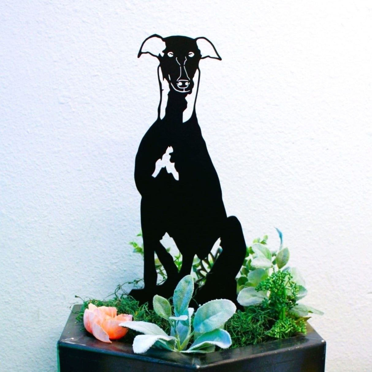 Greyhound Garden Stake