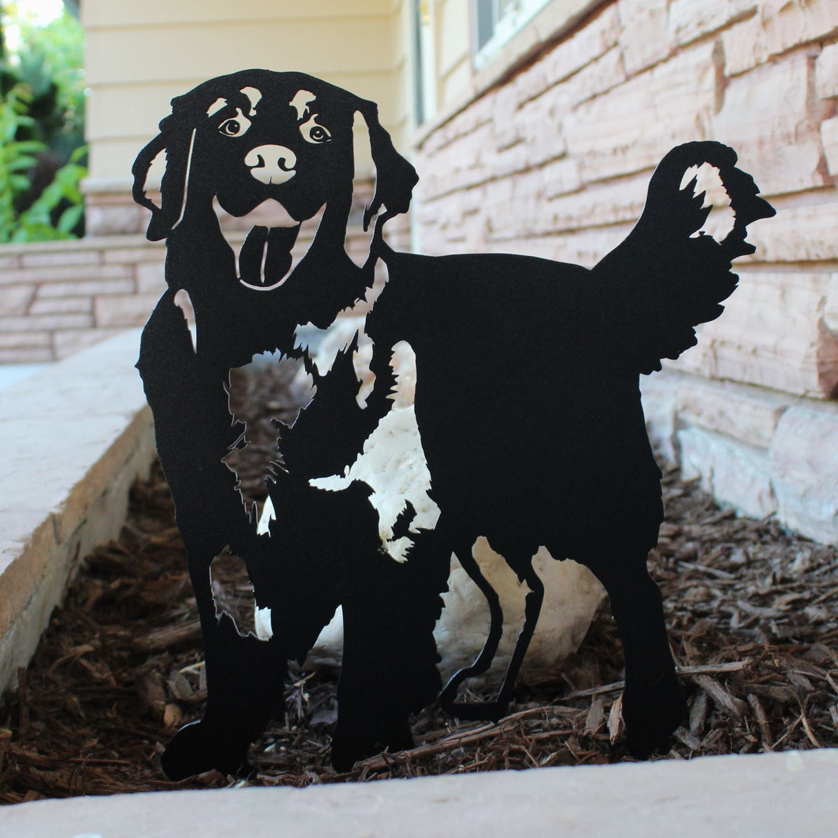 Golden Retriever - Standing