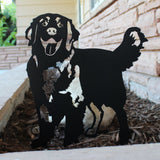 Golden Retriever - Standing