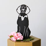 American English Coonhound