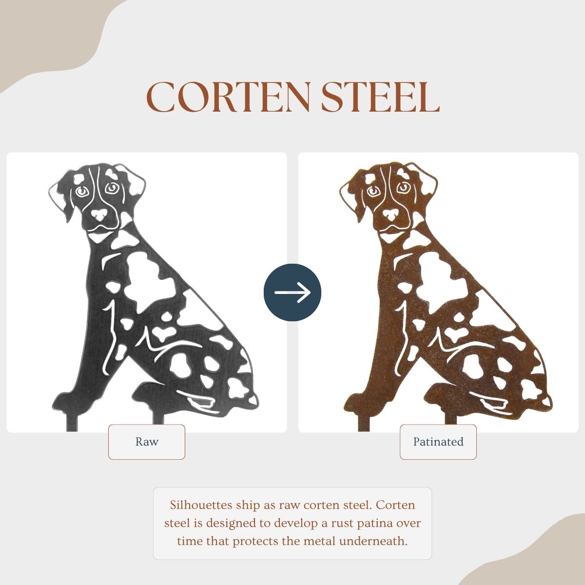 Catahoula Leopard Dog