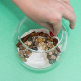Resin Terrarium Kit