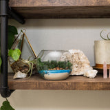 Resin Terrarium Kit
