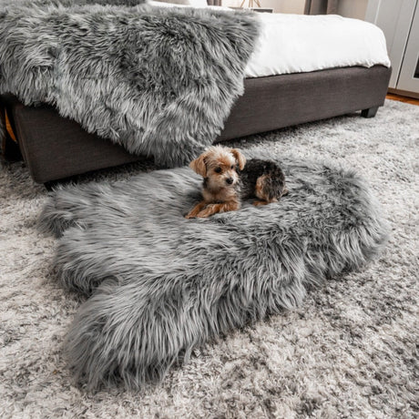 PupRug by Paw.com® Faux Fur Orthopedic Dog Bed - Curve Charcoal Grey