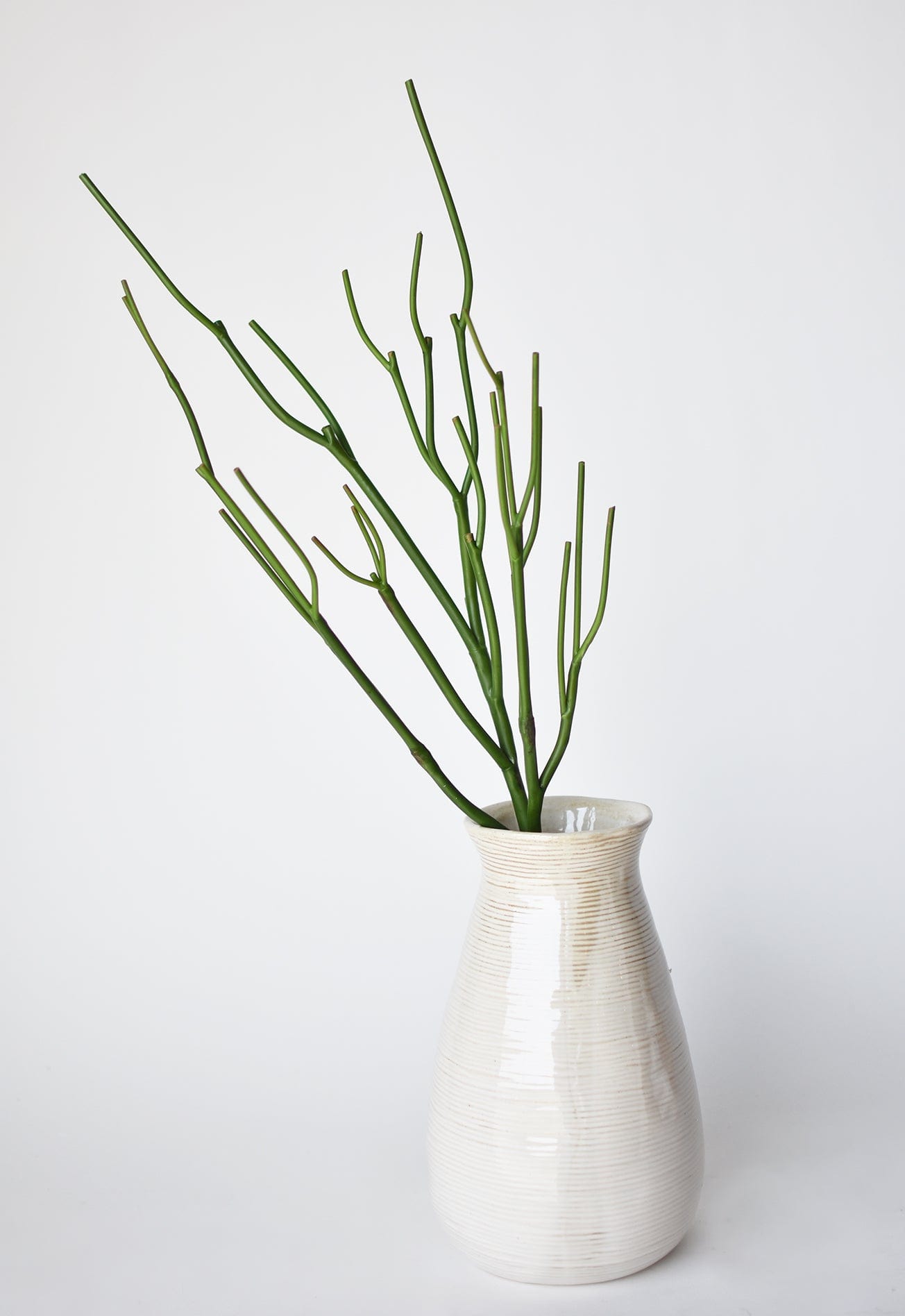 faux pencil cactus 23" Faux Green Pencil Cactus Succulent Stem