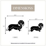 Dachshund - Longhaired