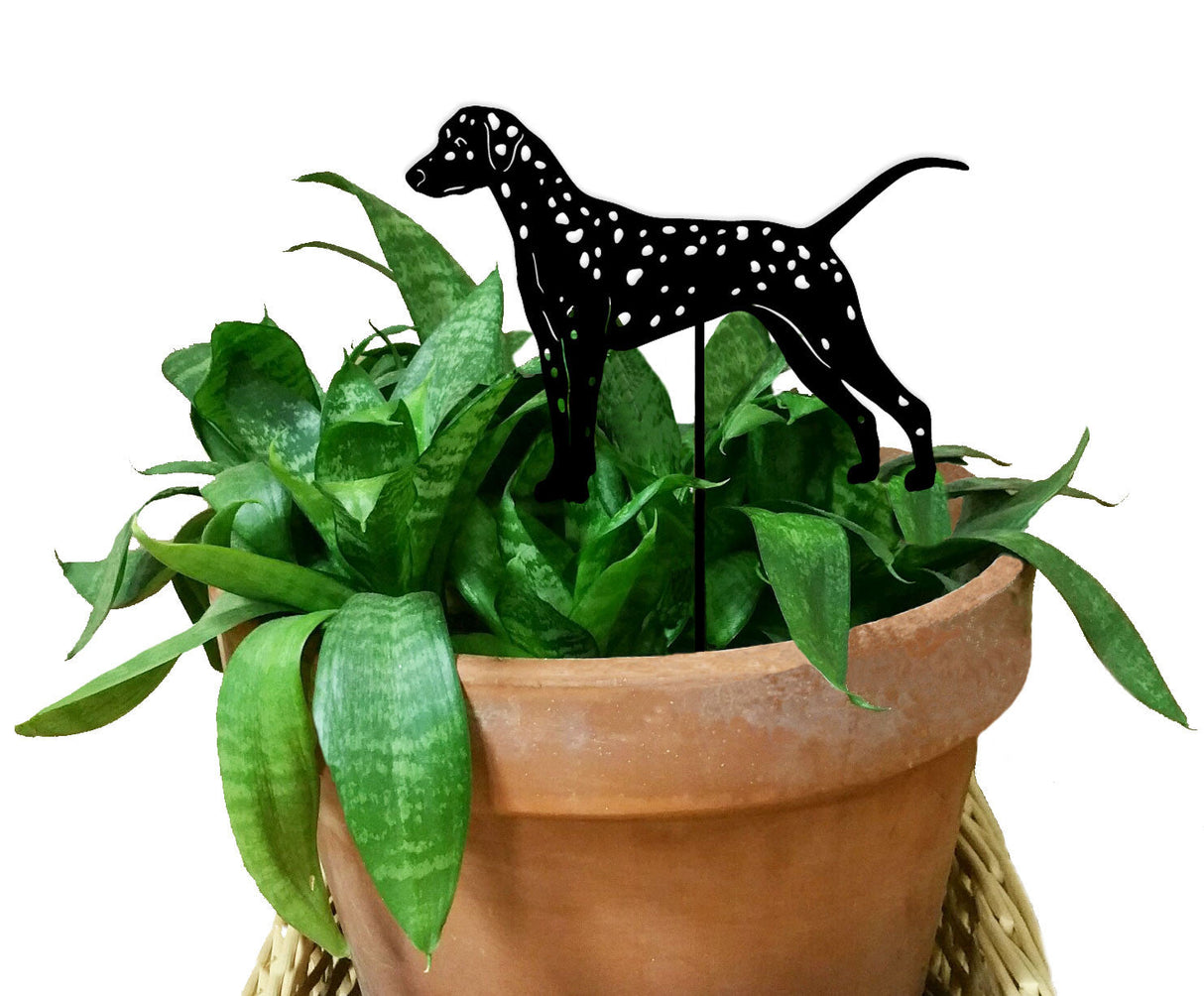 Dalmatian Plant Stake