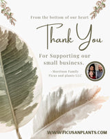 Botanical Throw Blanket With Plants, Fern Leaves Blanket