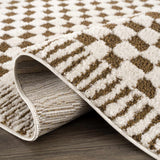 Leryn Brown & White Checkered Area Rug