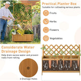 Outdoor Wood Raised Garden Bed With Trellis