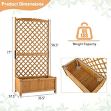 Outdoor Wood Raised Garden Bed With Trellis