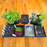 Grab & Grow Seed Kit