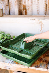 GreenStalk Garden Seed Starter Kit (Set of 4)