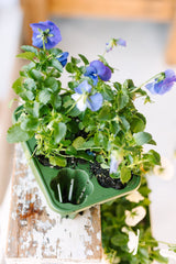 GreenStalk Garden Seed Starter Kit (Set of 4)