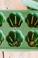 GreenStalk Garden Seed Starter Kit (Set of 4)