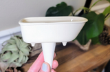 Bathtub Watering Spike