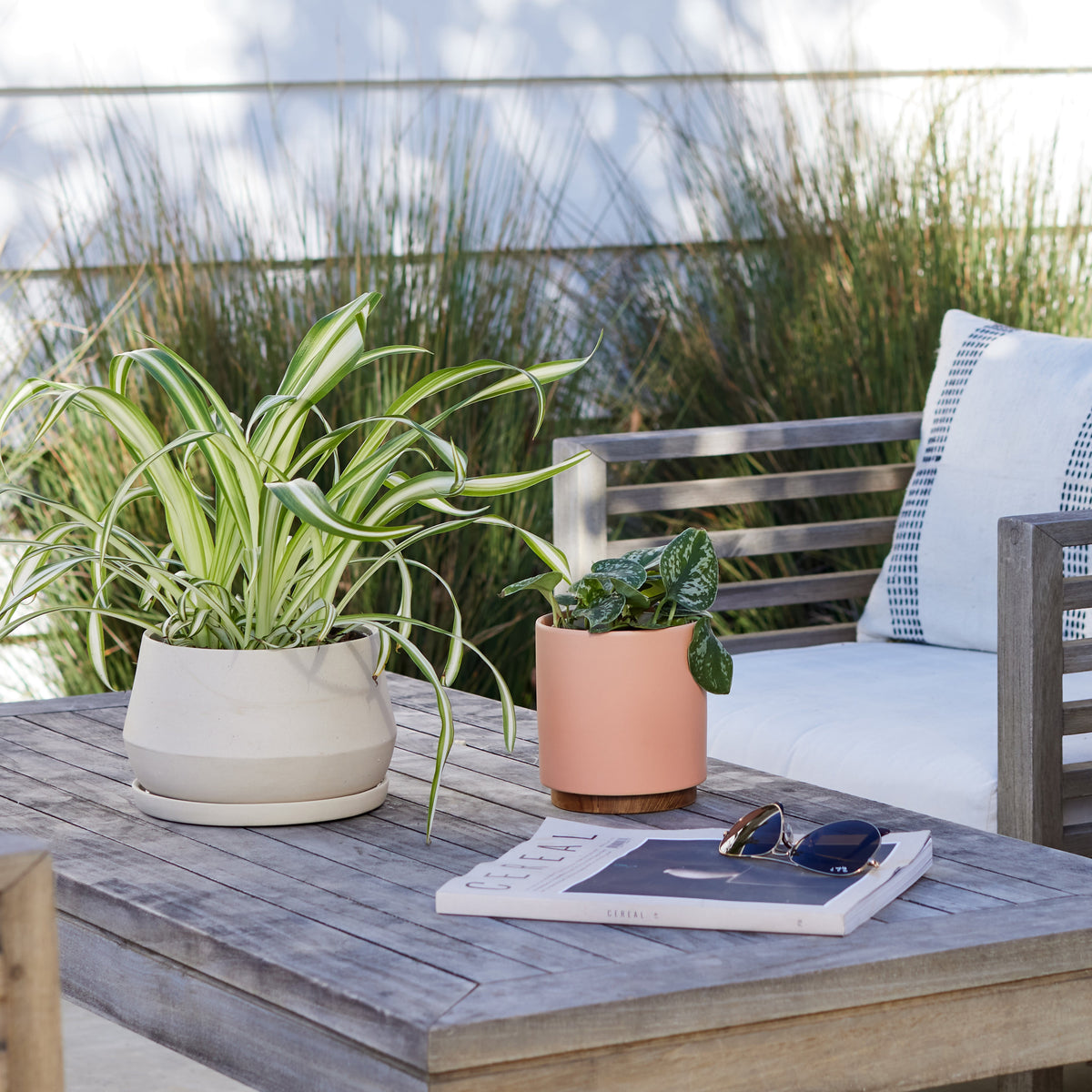 The Rancho Planter
