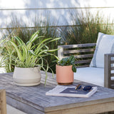 The Rancho Planter