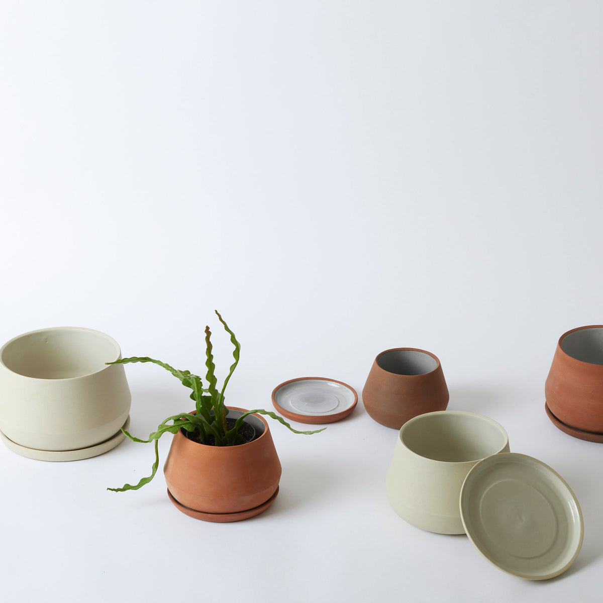 The Rancho Planter