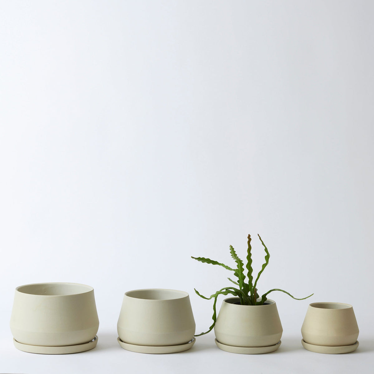 The Rancho Planter
