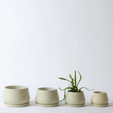 The Rancho Planter