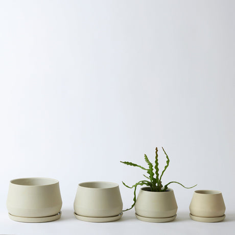 The Rancho Planter