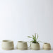 The Rancho Planter