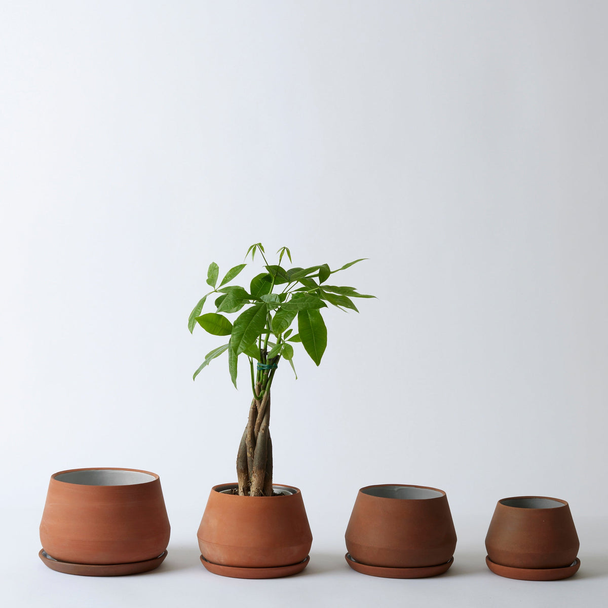 The Rancho Planter