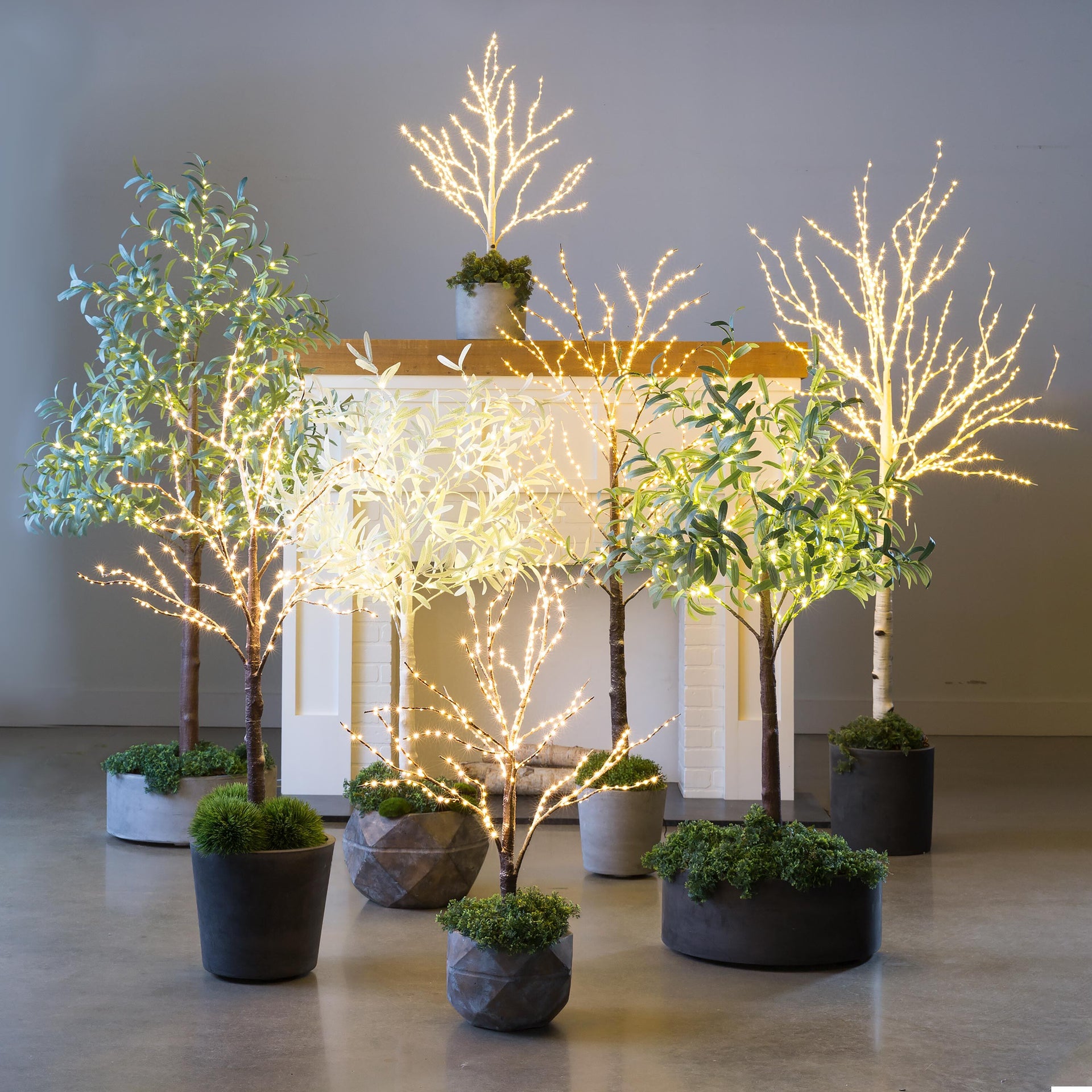 faux succulent fountain w/ led lights 7.5in 7' Lit Faux Olive Tree, White