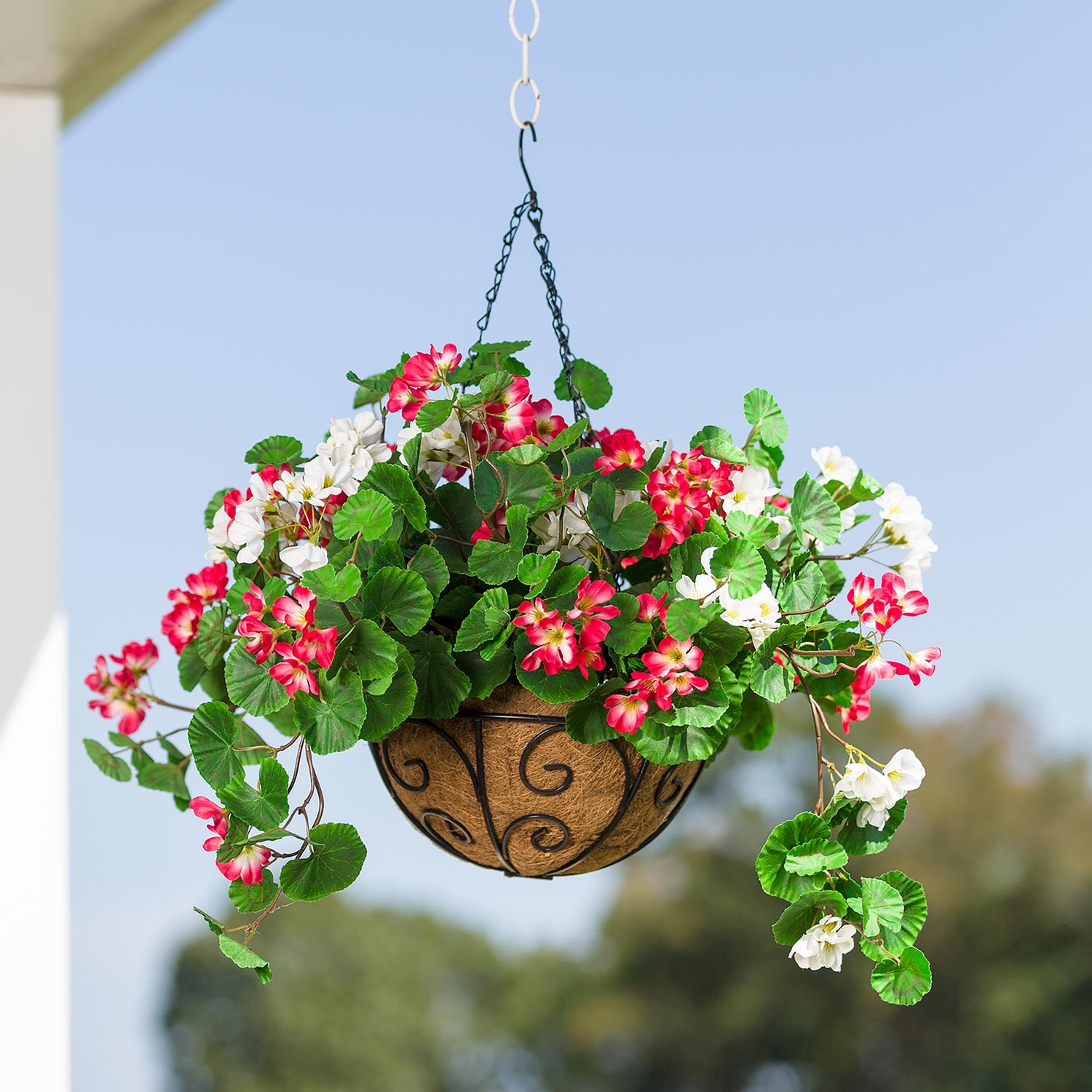 geranium hanging plant Everlasting Faux Red and White Geranium Hanging Basket