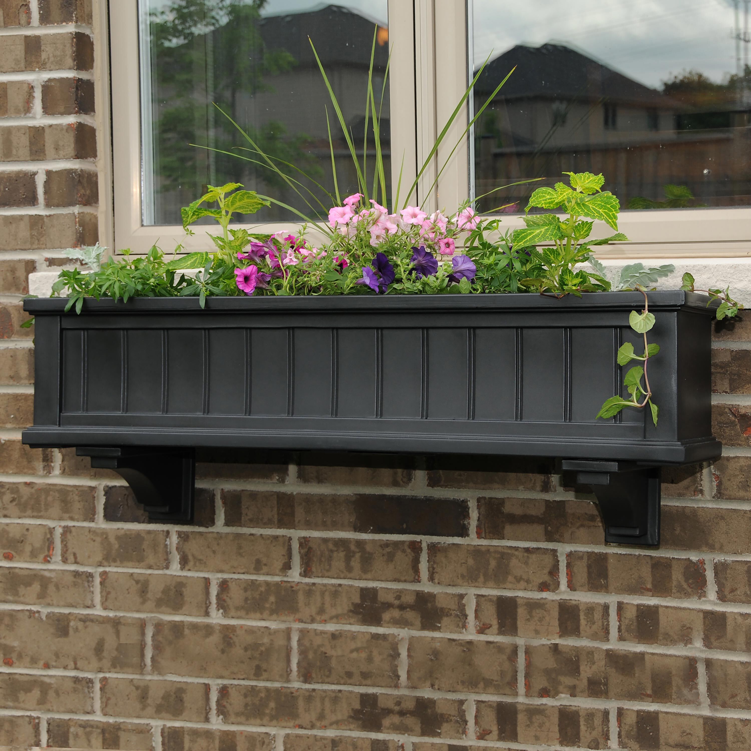 Evergreen Lexington Window Box