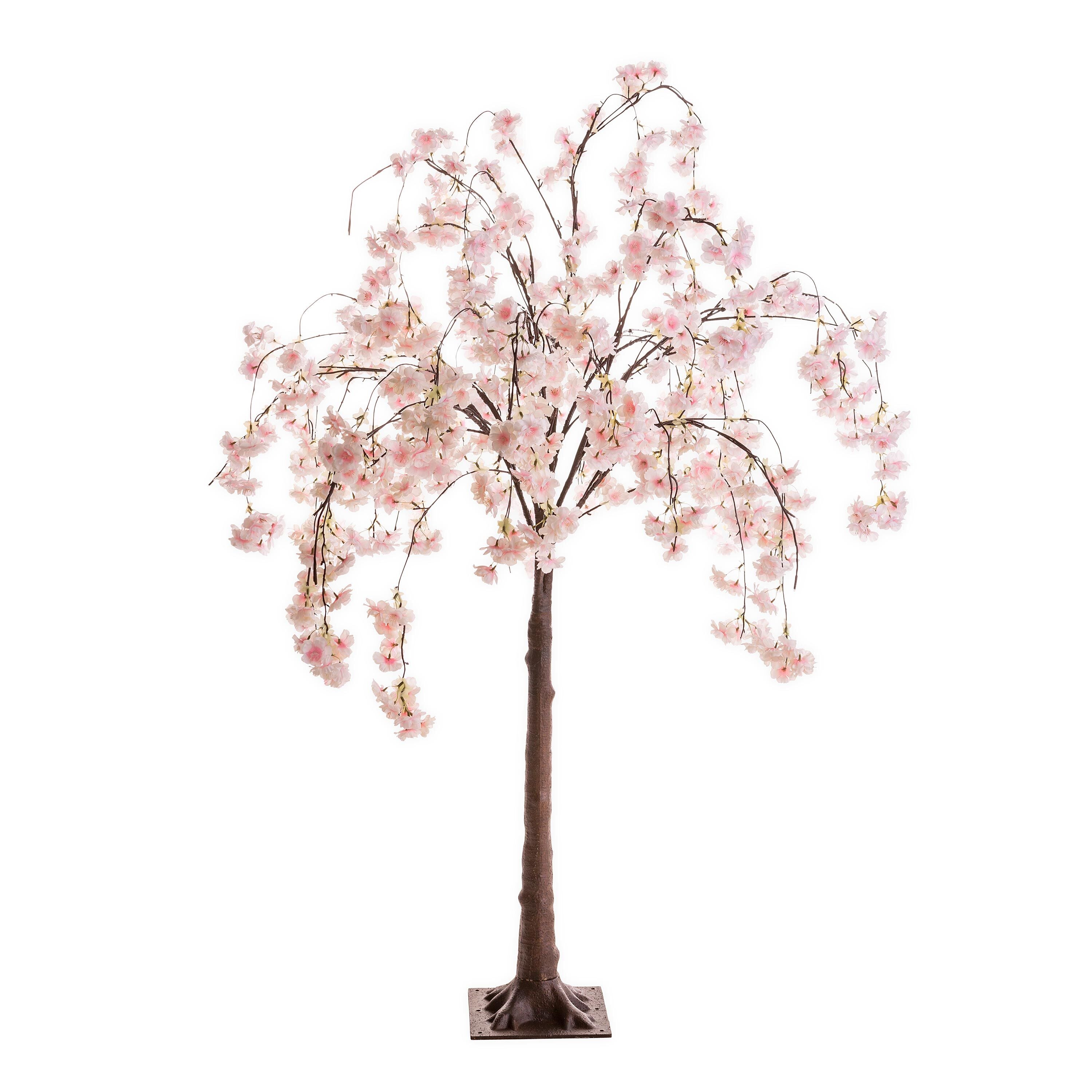 Plow & Hearth Weeping Cherry Tree