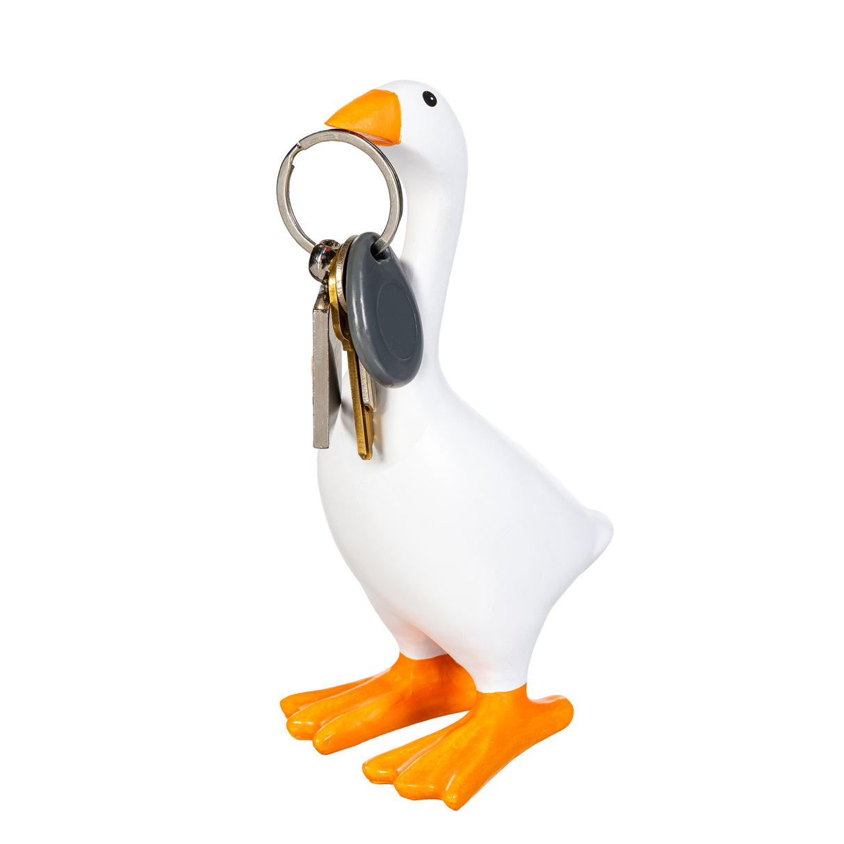 https://asset.productmarketingcloud.com/api/assetstorage/3909_c736bd37-ac29-4877-a406-aab4255384fa