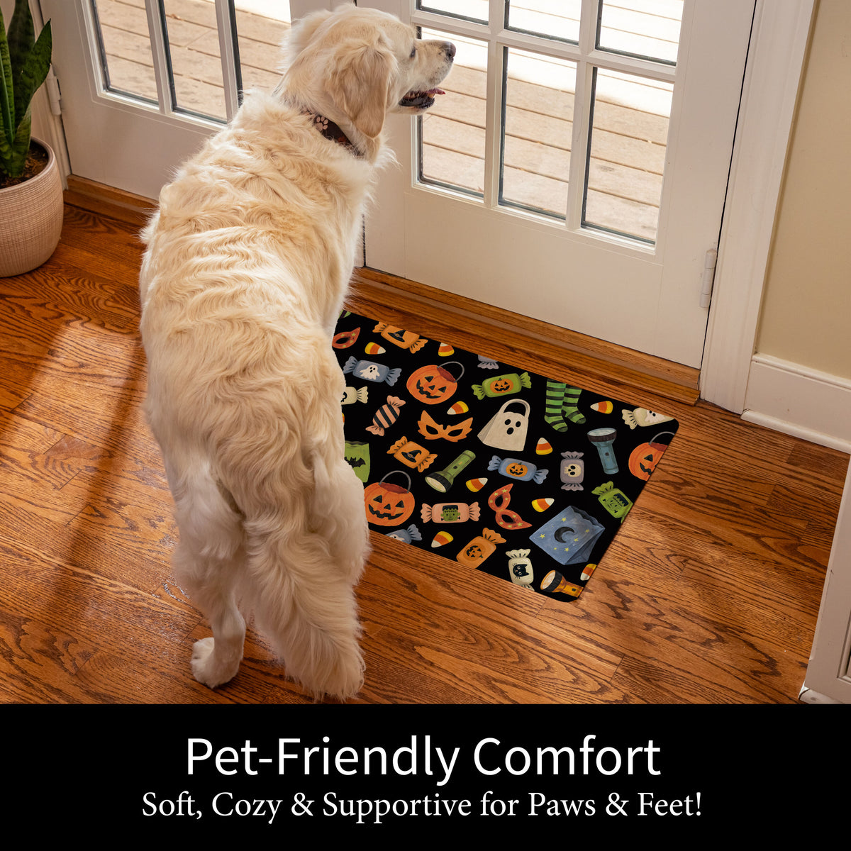 https://asset.productmarketingcloud.com/api/assetstorage/3909_93143e8e-44a1-43c4-8019-9f8b1242e128