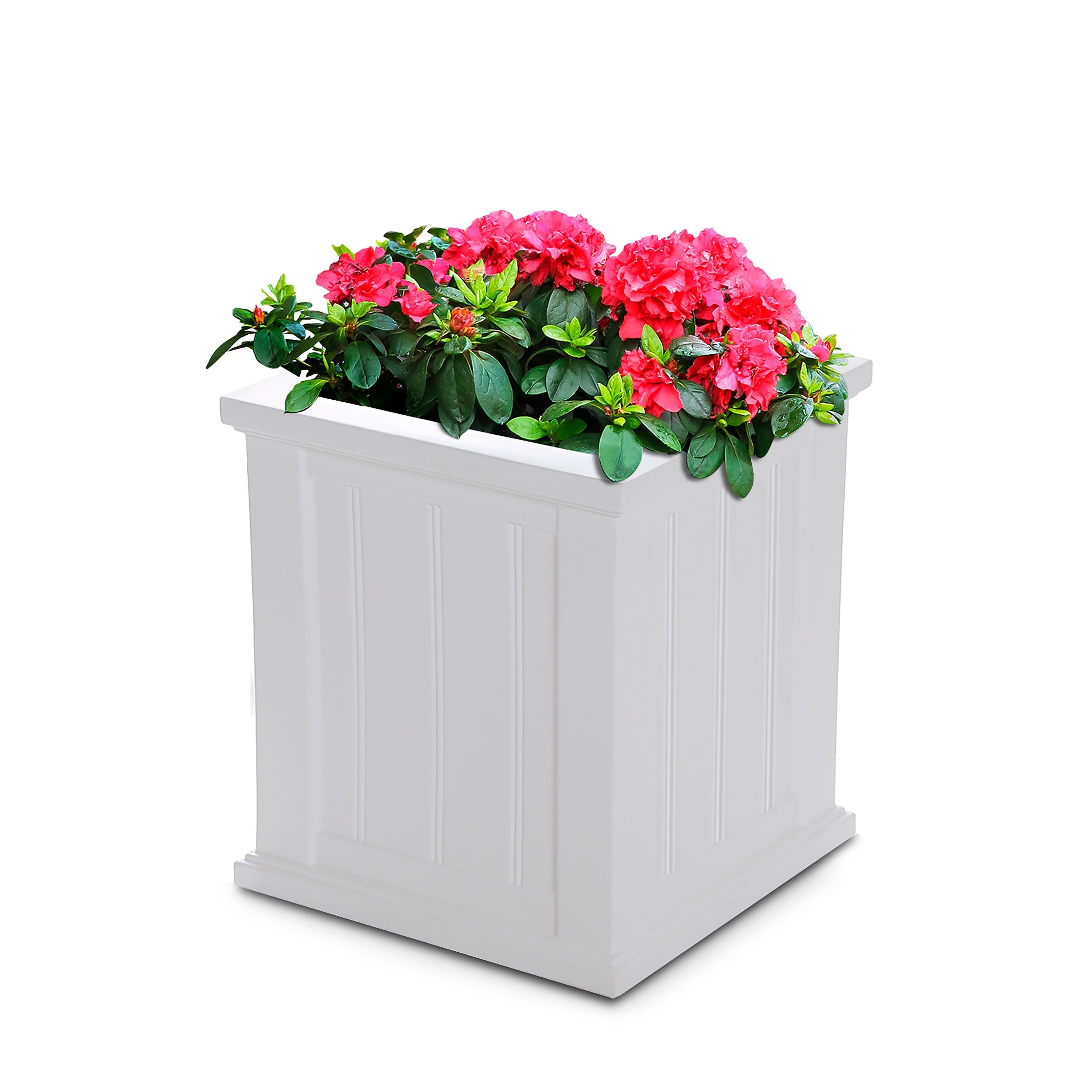 Evergreen Lexington Planter