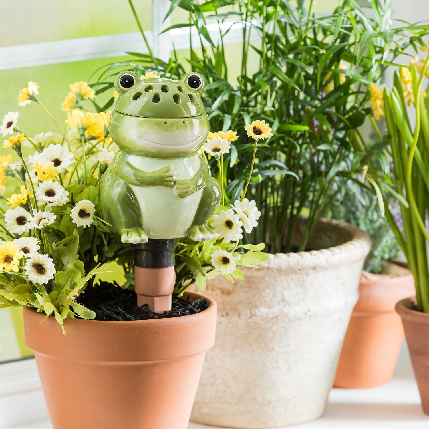 fruit flies in plant pots All-In-One Ceramic Fruit Fly/Fungus Gnat Trap with Watering Globe